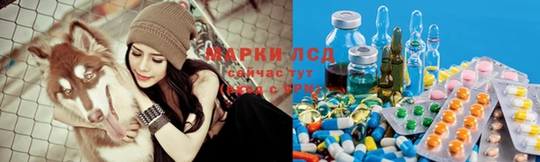 мдпв Новодвинск