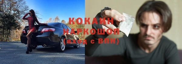 трава Новозыбков