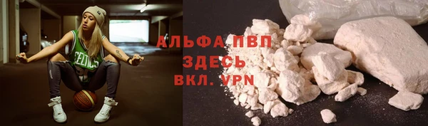apvp Алзамай