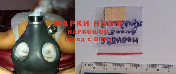 apvp Алзамай