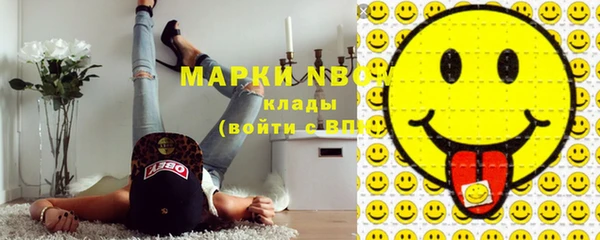 стафф Алексин
